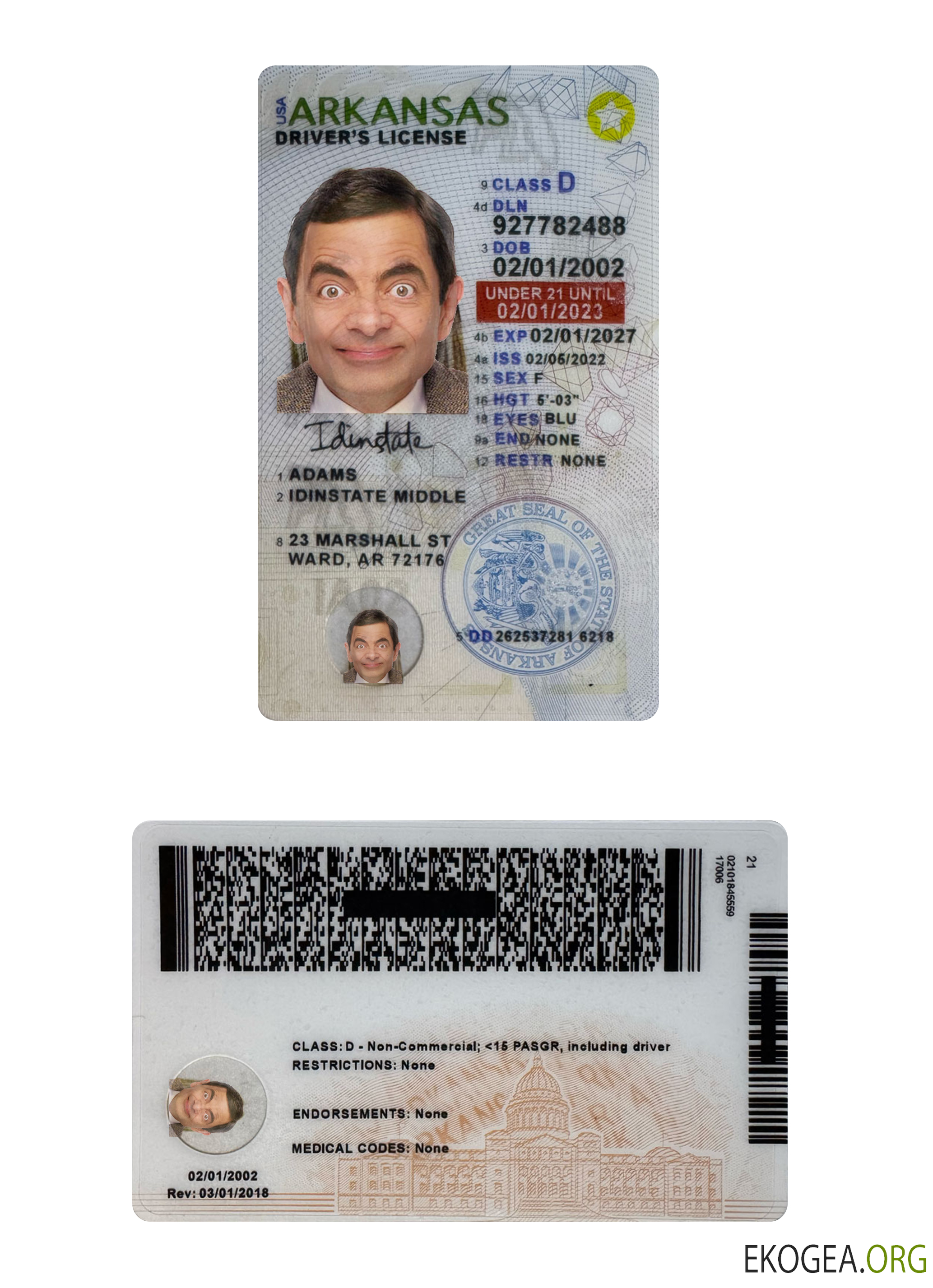 USA Arkansas under 21 driving license